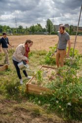 Collective vegetable garden in ERASME with Citydev