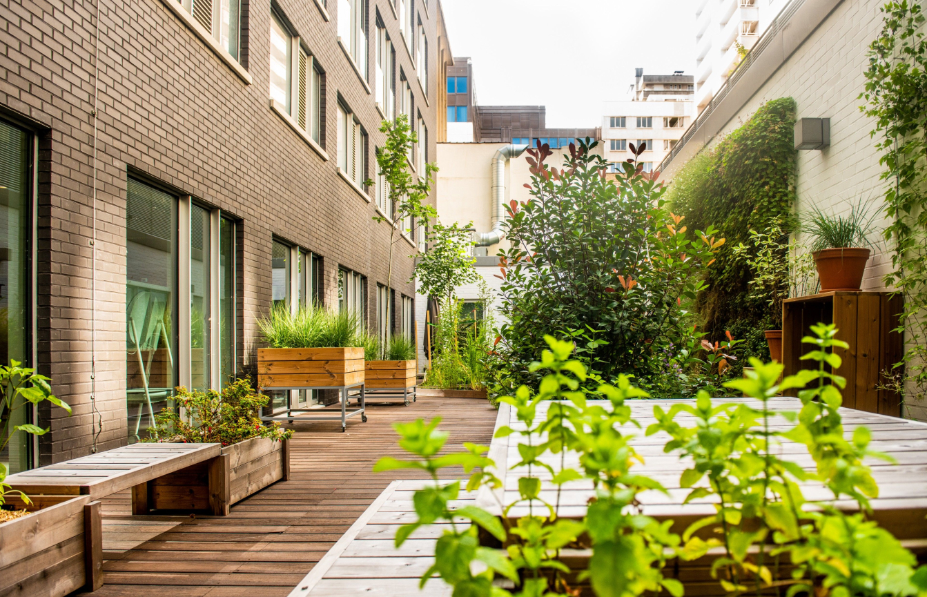 Création et entretien de jardins de biodiversité