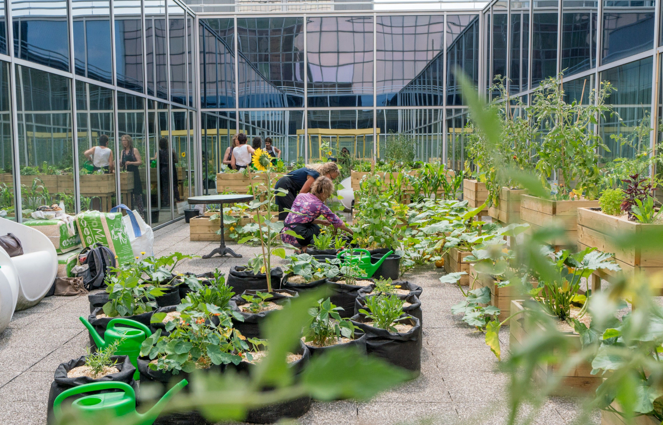 Création et entretien de potagers d’entreprise