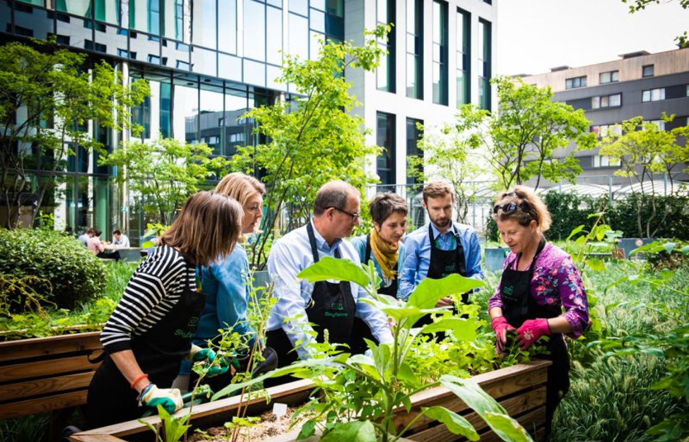 Teambuilding et visites de potagers existants