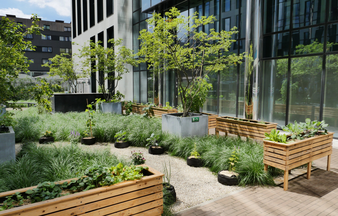 Travaux et réalisation de jardin