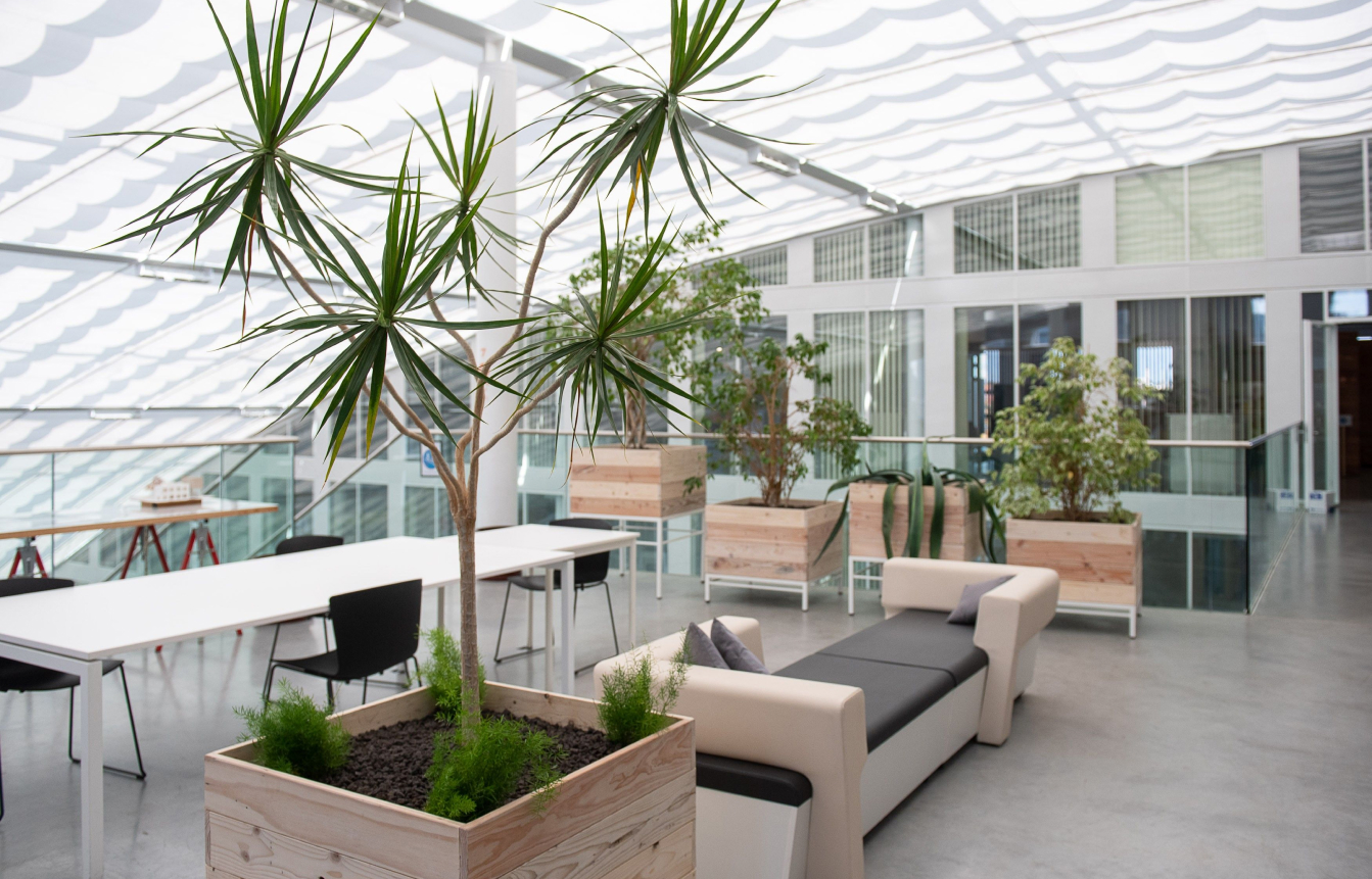 - Végétalisation de bureaux